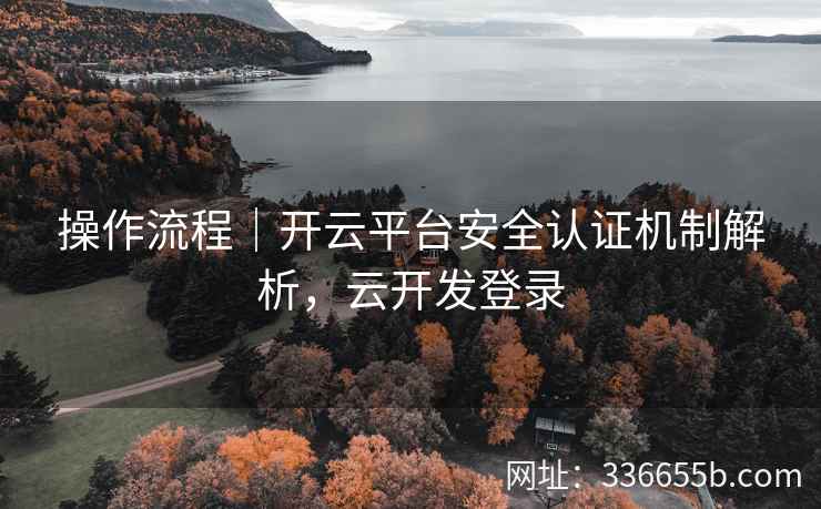 操作流程｜开云平台安全认证机制解析，云开发登录