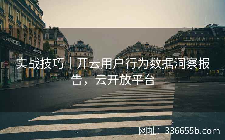 实战技巧｜开云用户行为数据洞察报告，云开放平台