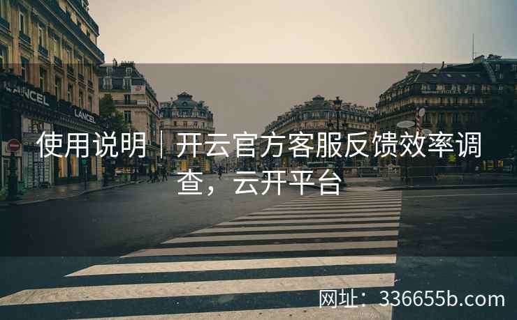 使用说明｜开云官方客服反馈效率调查，云开平台